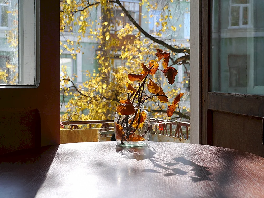 Herbst aus dem Fenster