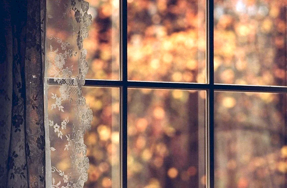 Herbst aus dem Fenster