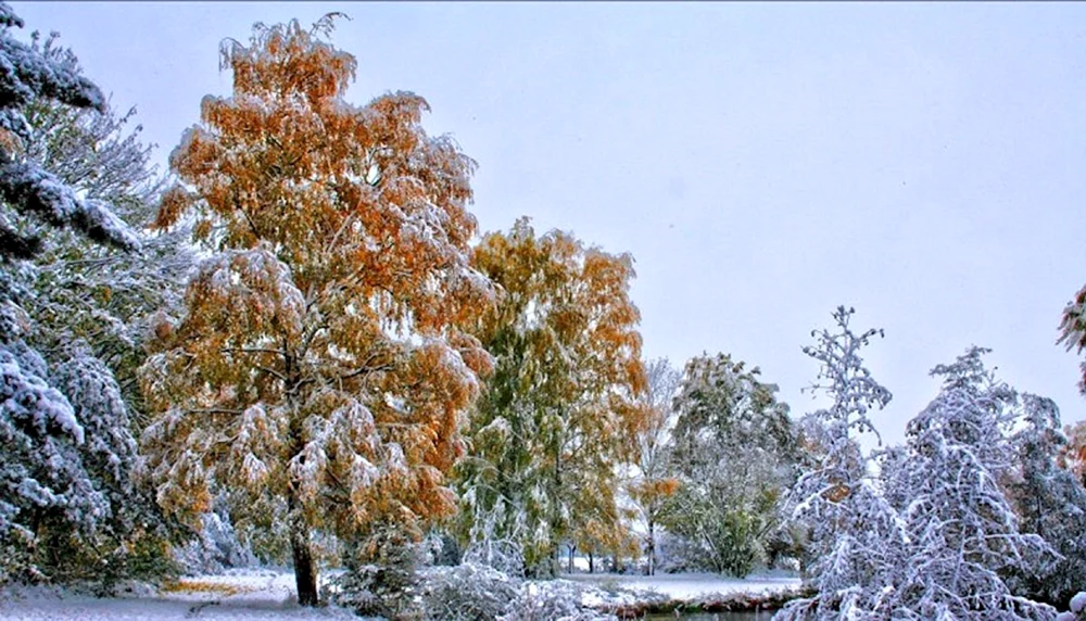 Herbst Schnee
