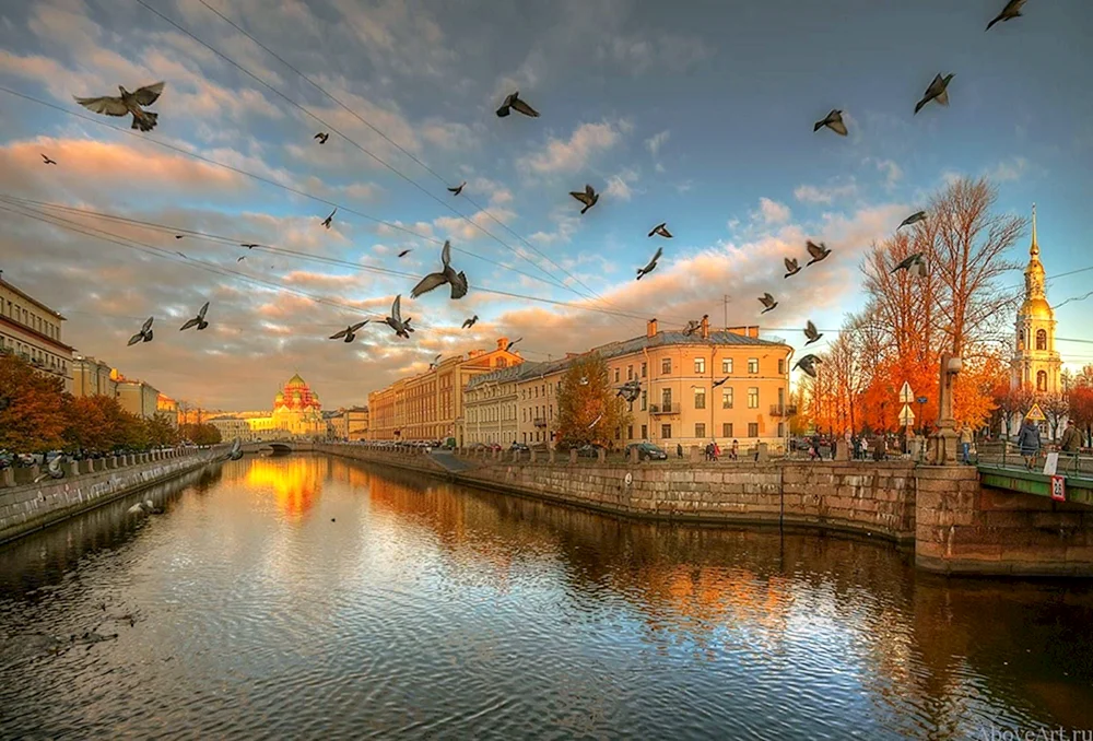 Herbst St. Petersburg Gordeev