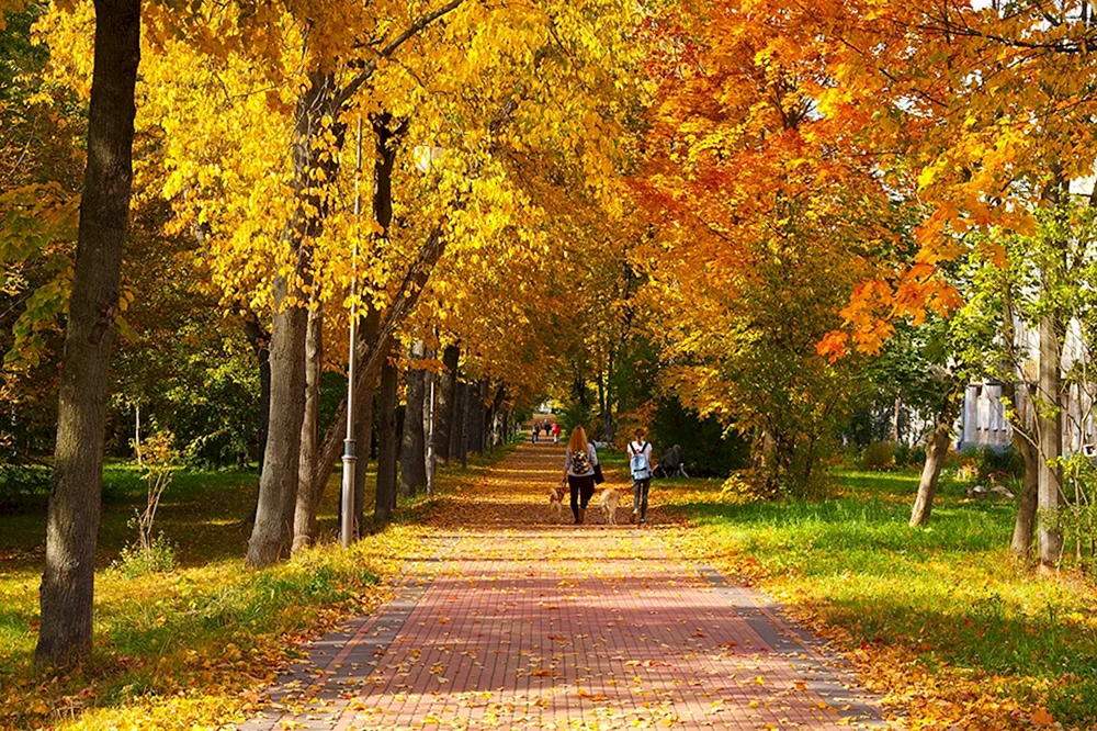 Herbst im Park