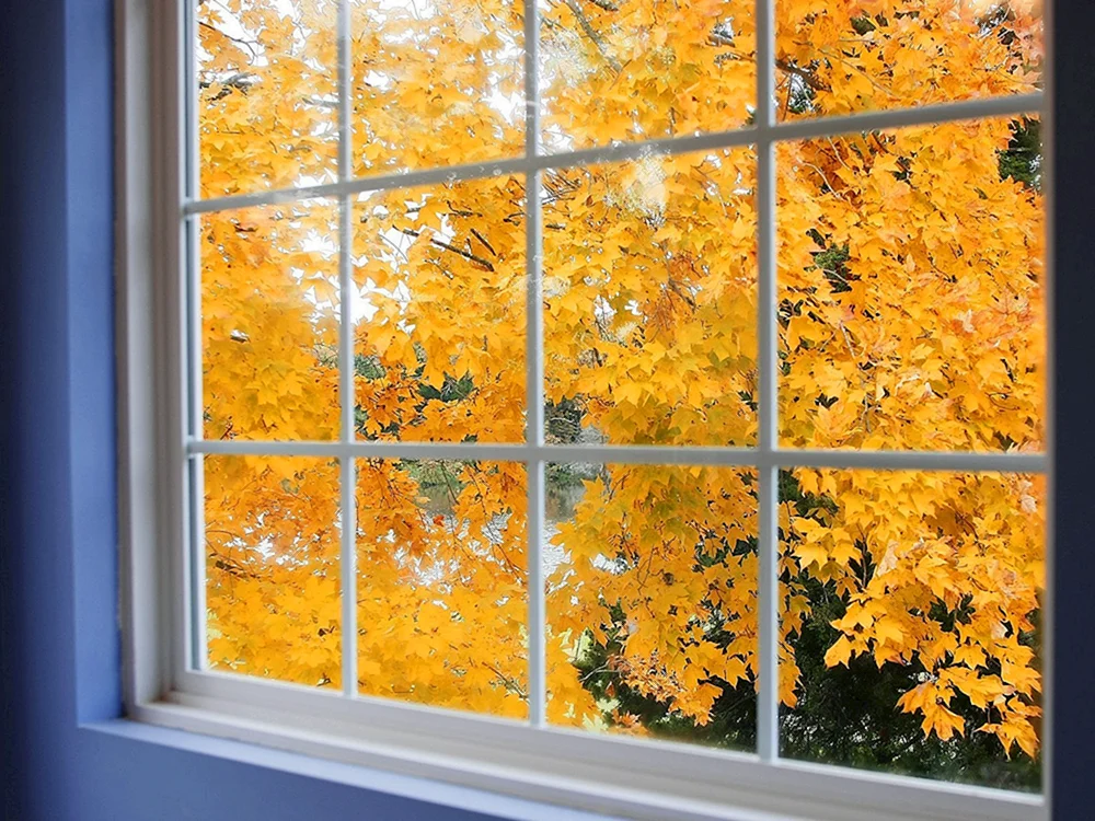 Herbst aus dem Fenster