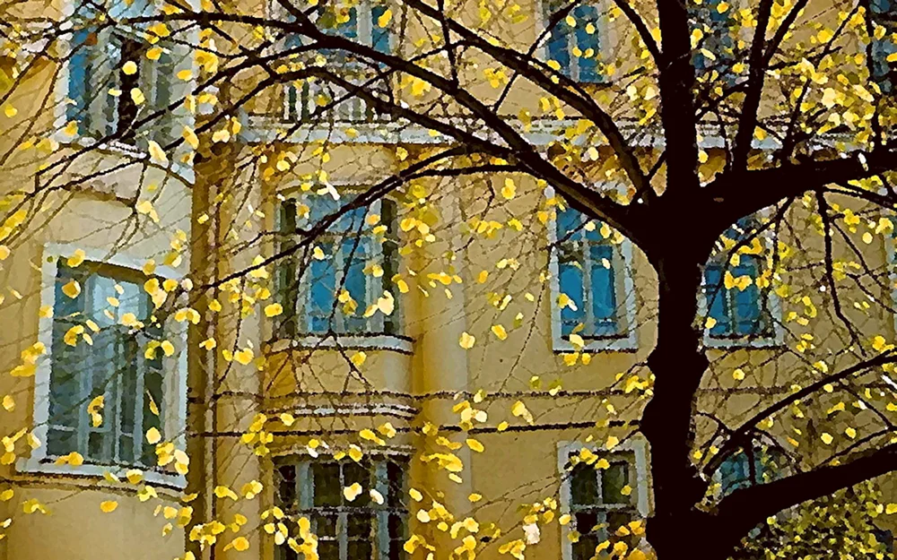 Aus dem Fenster Regen