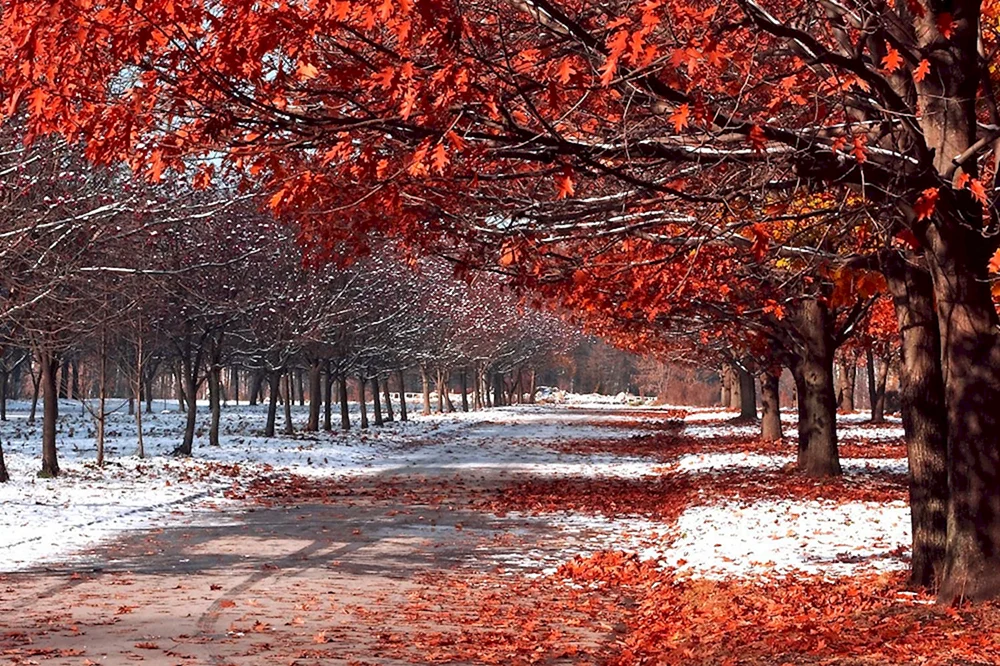 Herbstwinter