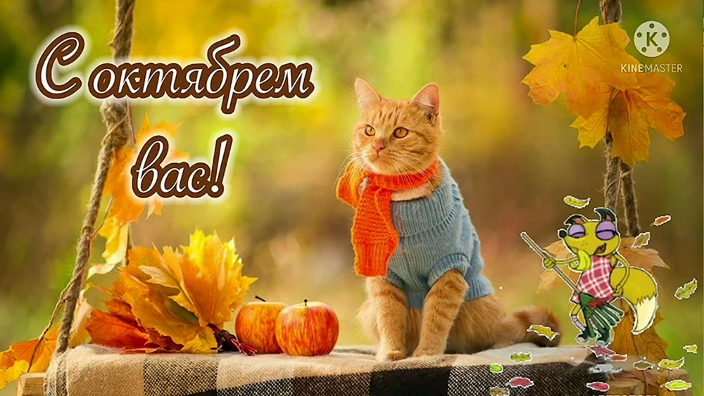 Herbstkatze