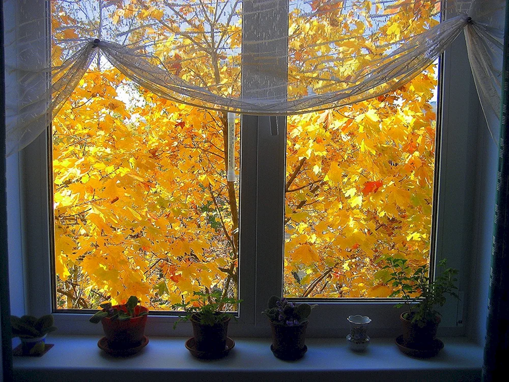 Herbstfenster