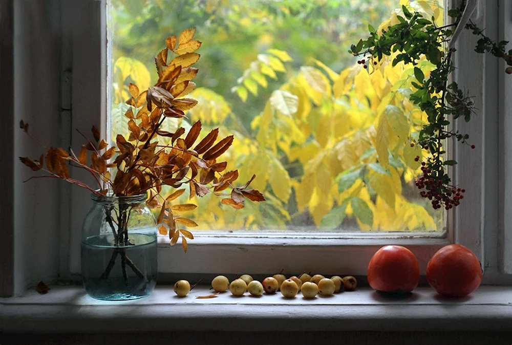 Herbst aus dem Fenster