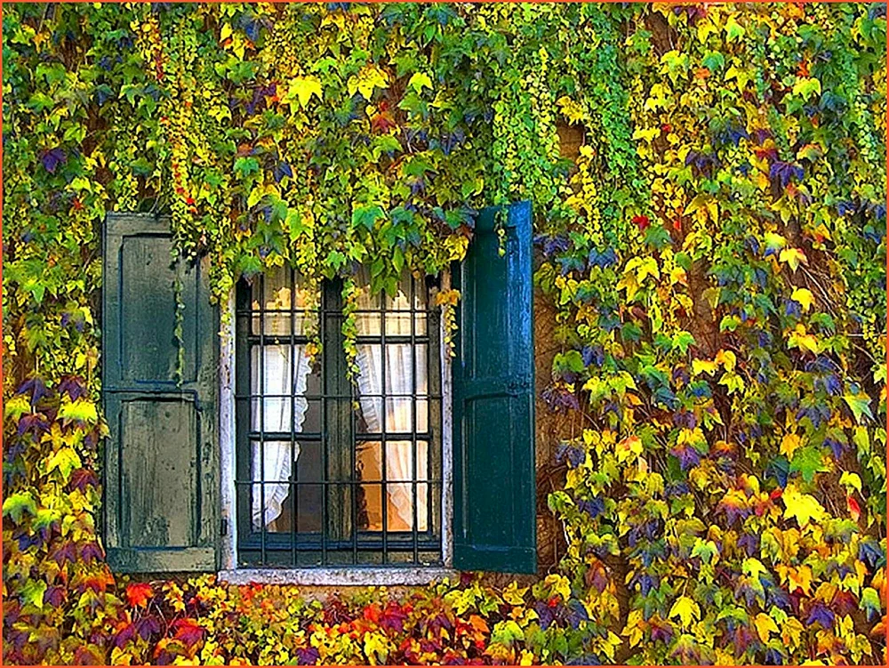 Aus dem Fenster