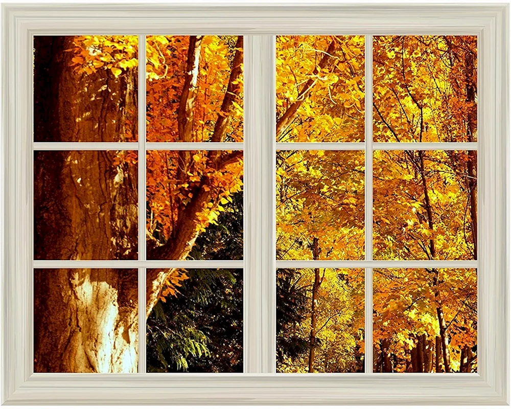 Herbstblick aus dem Fenster
