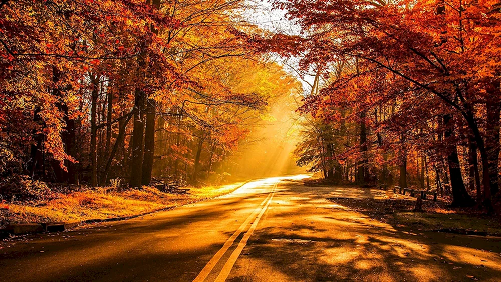 Schöner Herbst