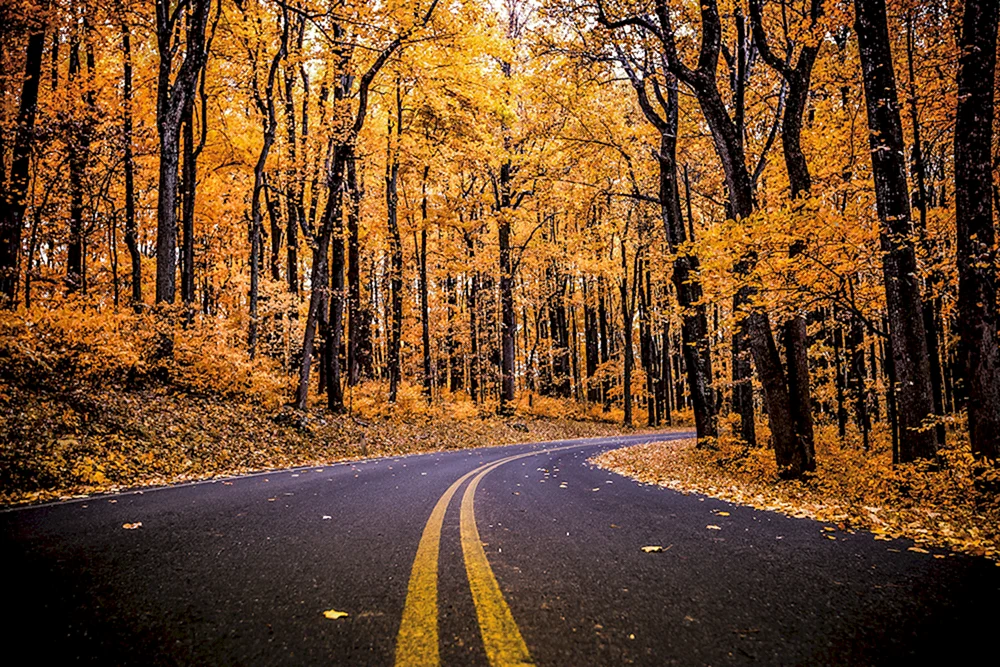 Schöner Herbst