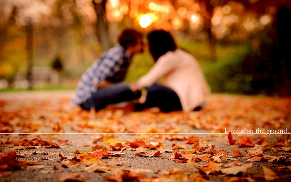 Herbstliebe