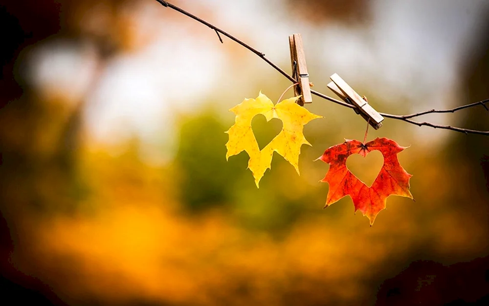 Trauriger Herbst