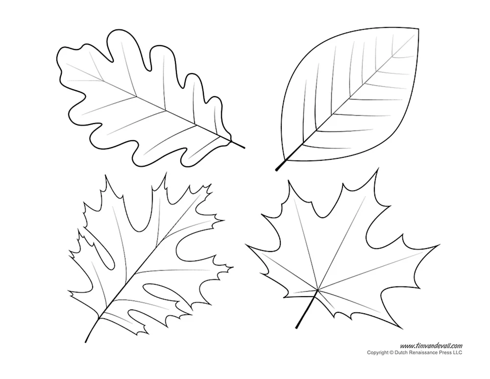 Herbstblätter Schablone