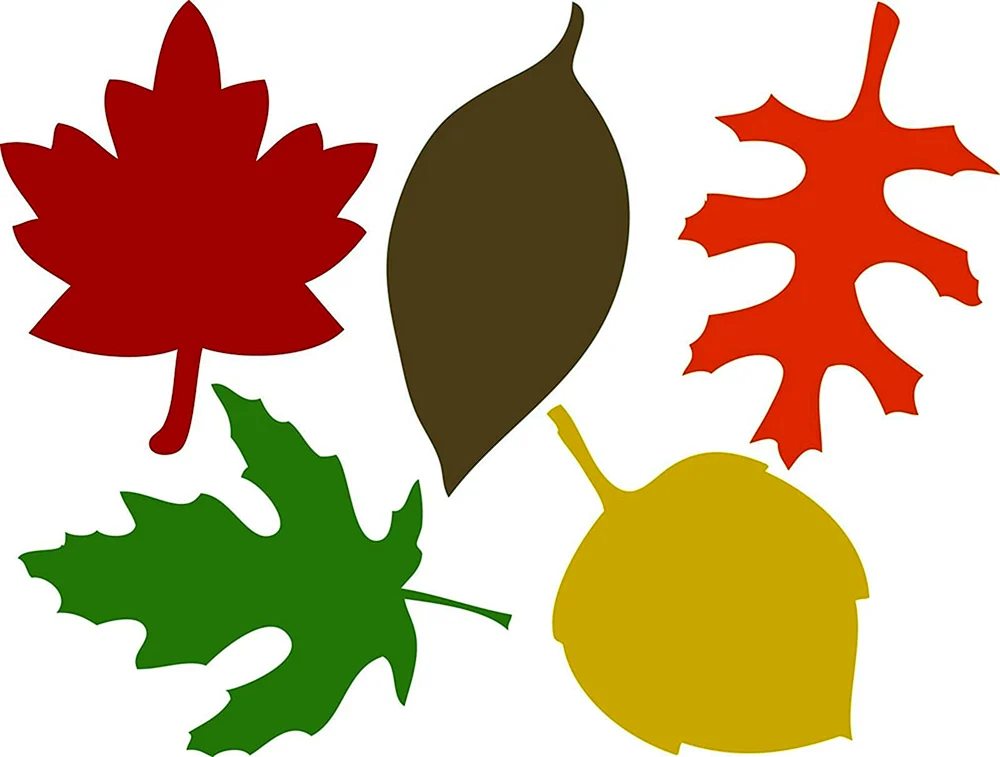 Herbstblattschablonen zum Ausschneiden