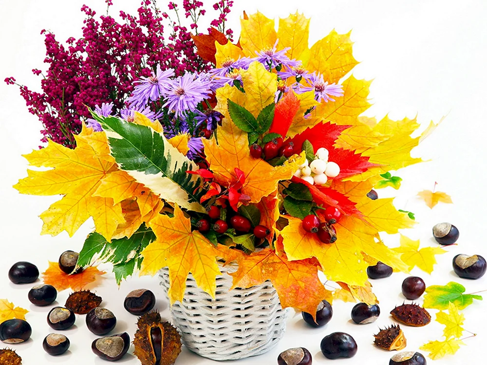 Ariel Buteau Herbstblumen