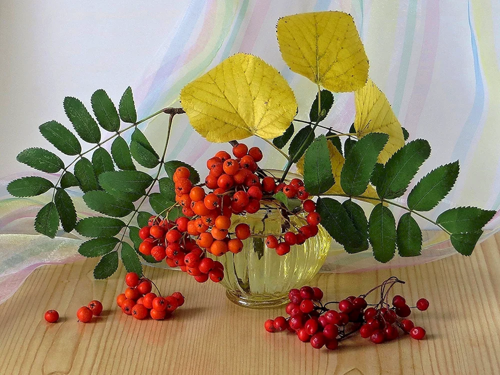 Herbststillleben