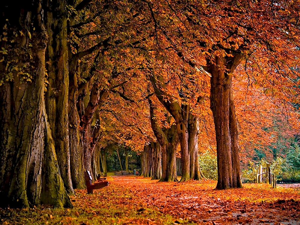 Riverside Park im Herbst