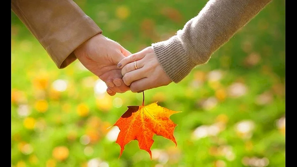 Herbstblatt in der Hand