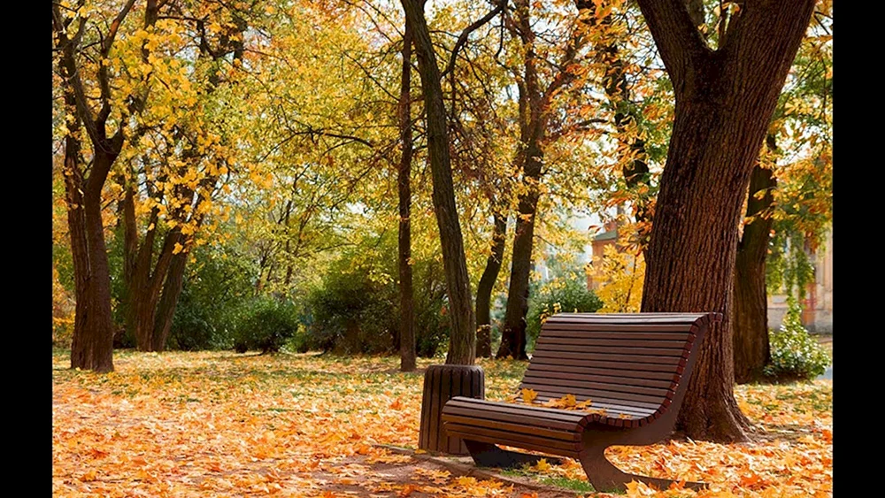 Herbstpark