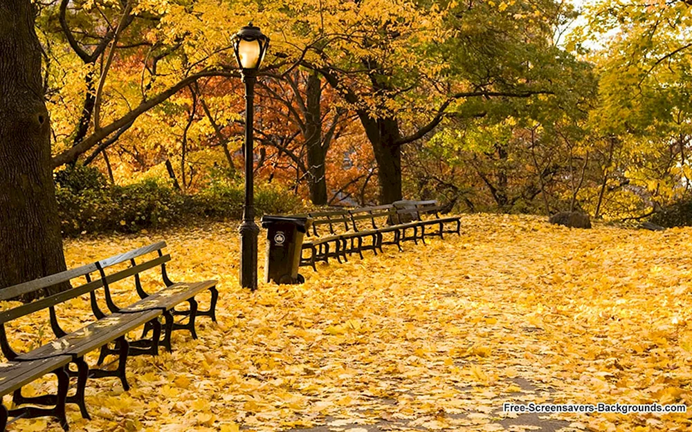 Herbstpark