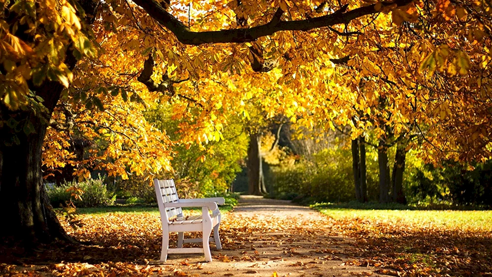Herbstpark