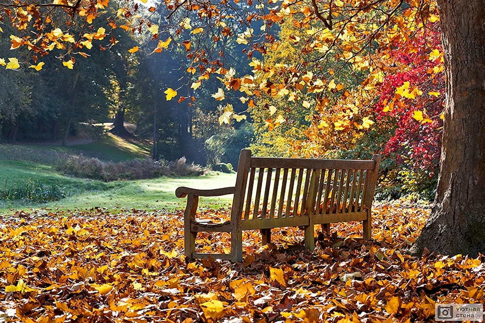 Dubki-Park Herbstbrücke