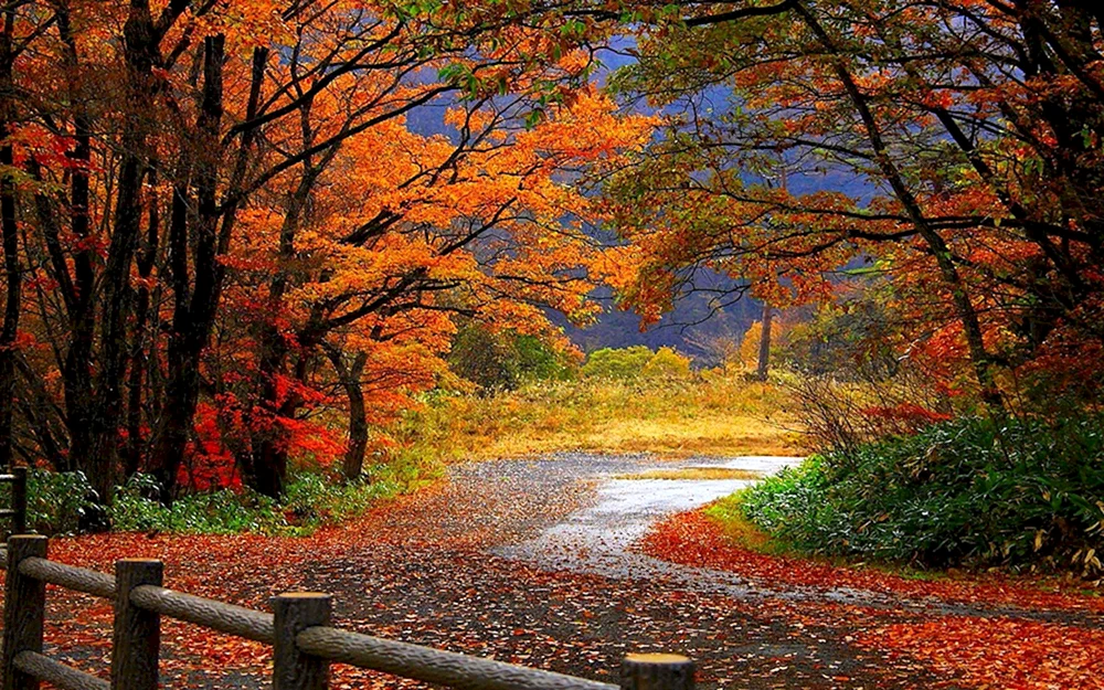 Herbstlandschaft
