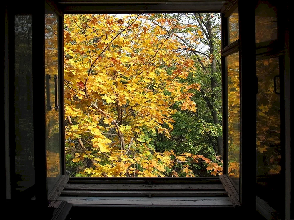 Herbstblick aus dem Fenster