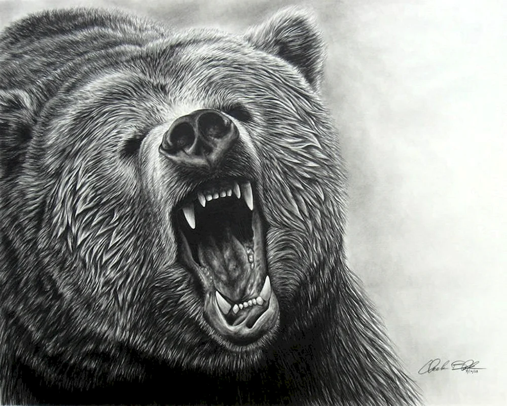 Bärenkunst