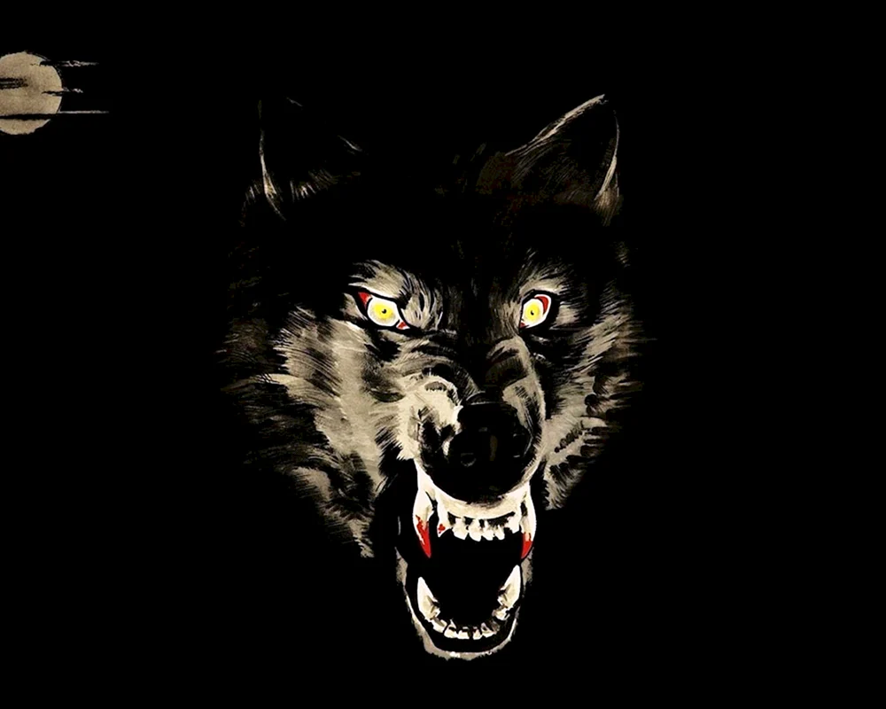 Weißer Wolf Burilar