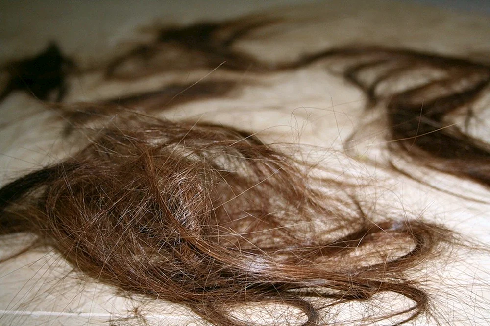 Geschnittene Haare am Boden