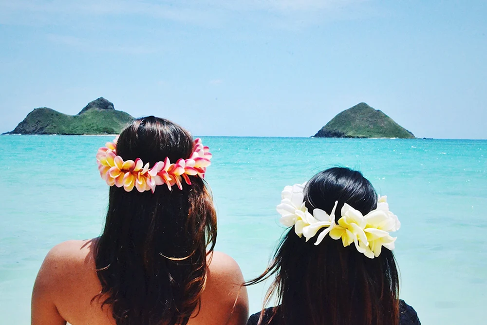 Nihao Island auf der Hawaii