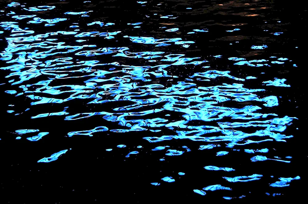 Sonnenblendung auf dem Wasser