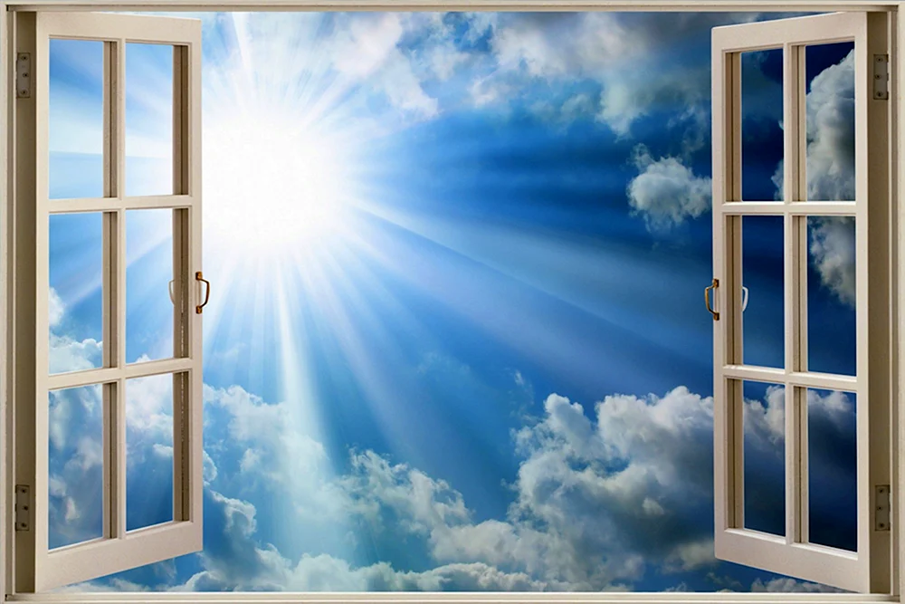 Fenster FENSTER