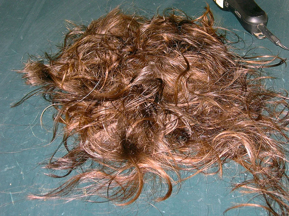 Geschnittene Haare am Boden