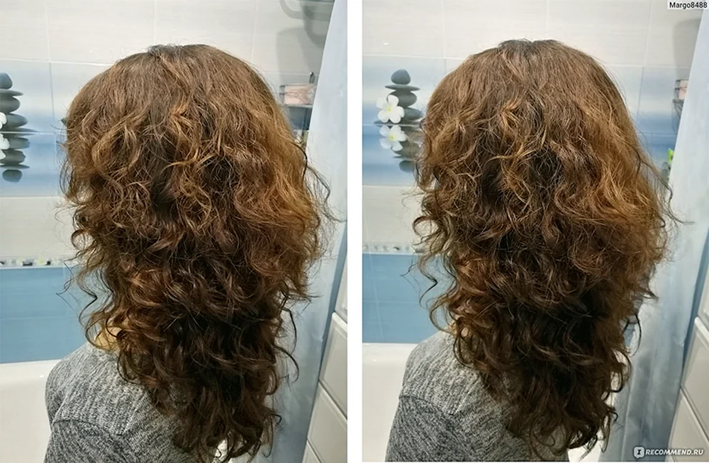 Bio curl