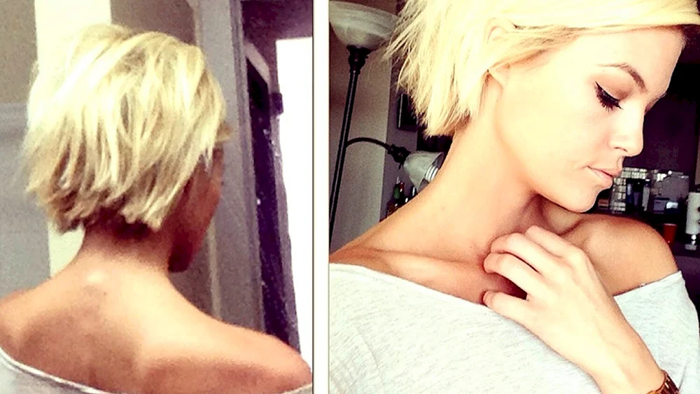 Pixie Bob Haarschnitt
