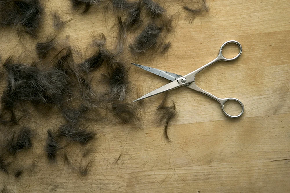 Fliesen auf dem Boden im Friseursalon
