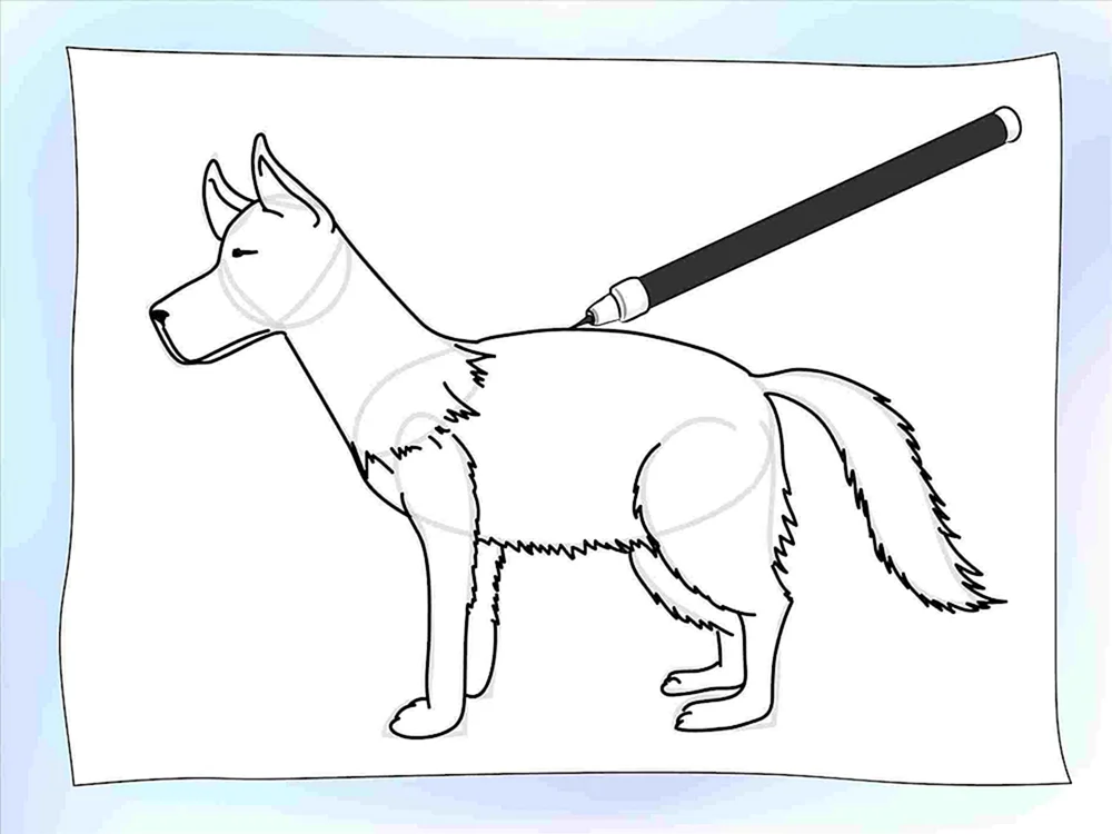 Deutscher Schäferhund Canva