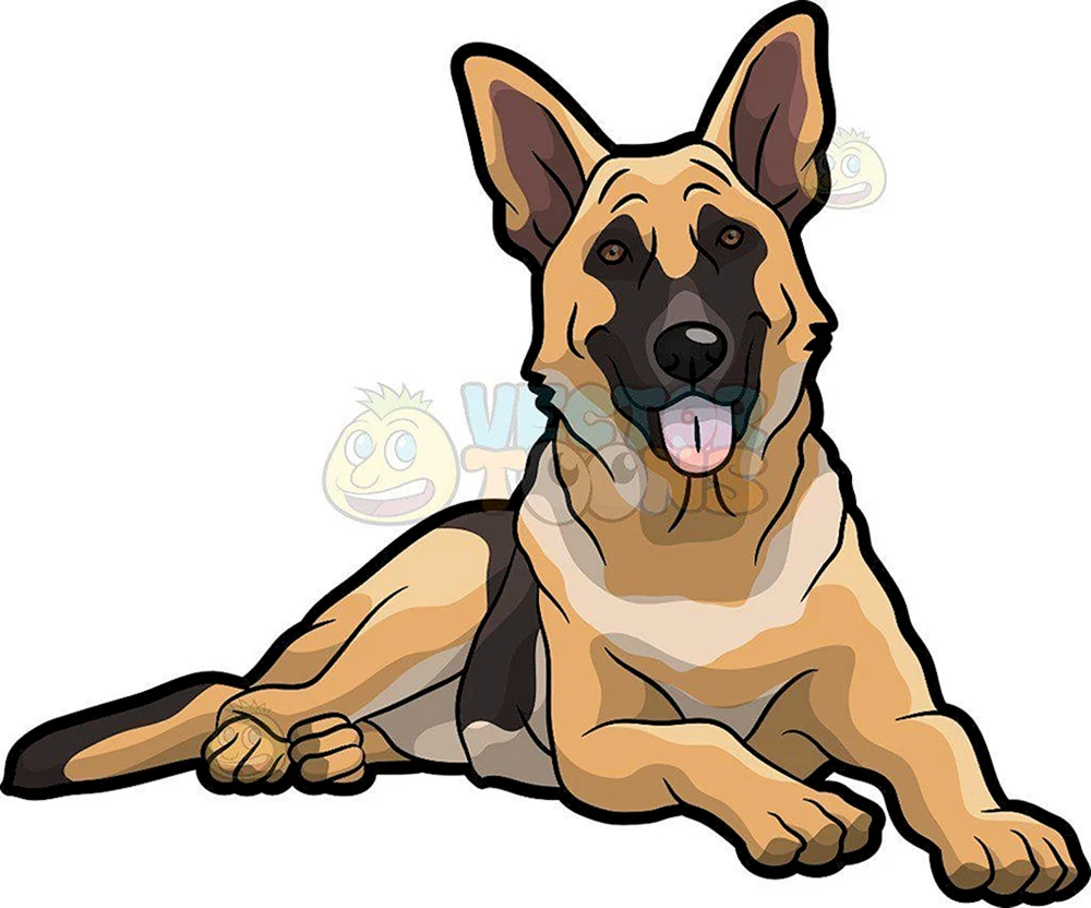 Schäferhund Färbung