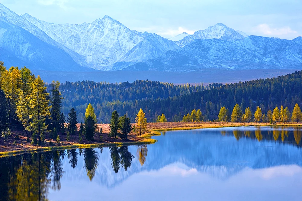 Alpine Meadows of Tien Shan