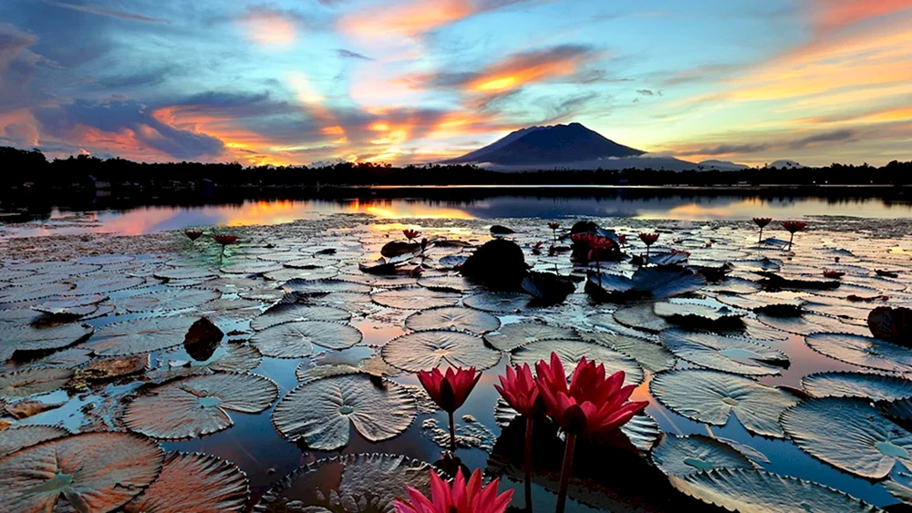 Lake Laguna de Bai Filippina