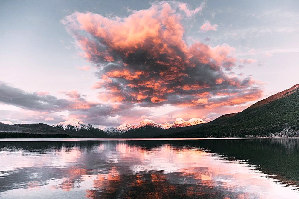 Schwarzer McDonald Montana USA