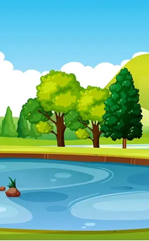 Cartoon See