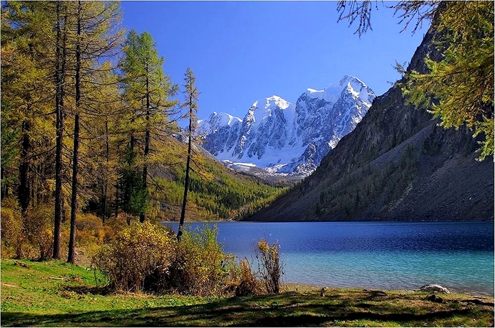 Sitr Altai