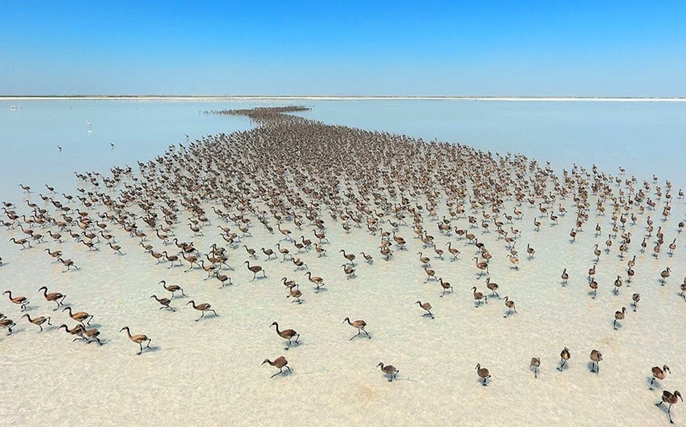 Lake Ace Turkey