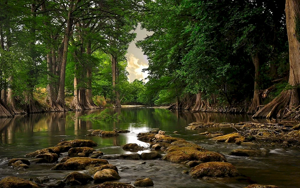 Lake Woods Australien