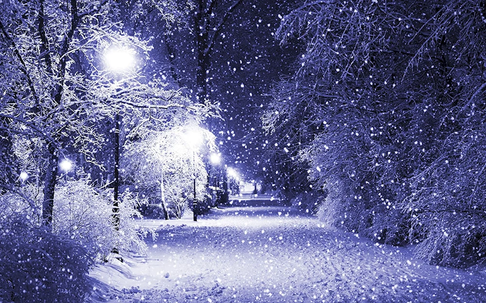 Winter natur