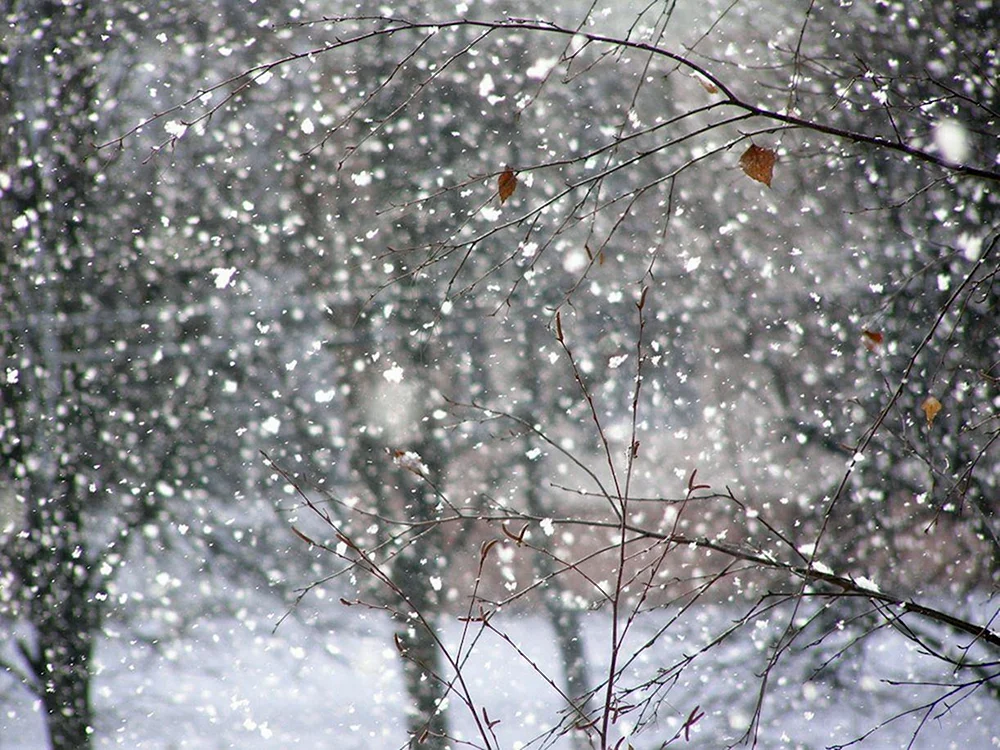 Fallender Schnee